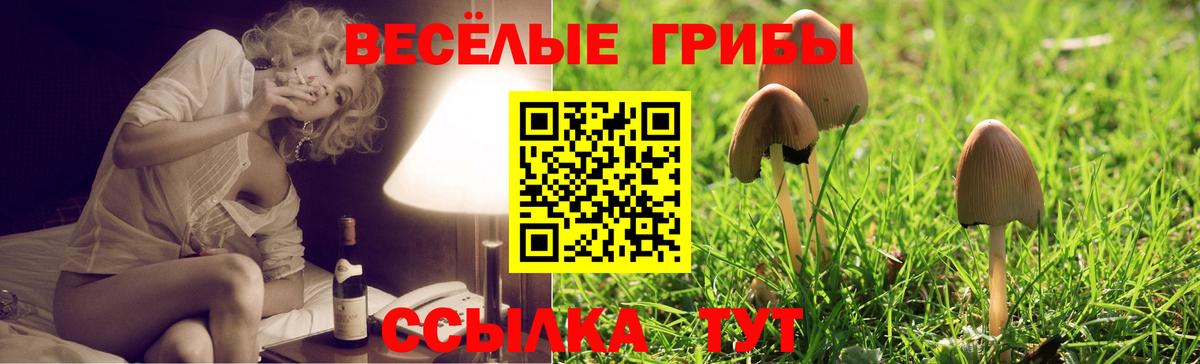 Шахты  Галлюциногенные грибы ЛСД  Вход с VPN 